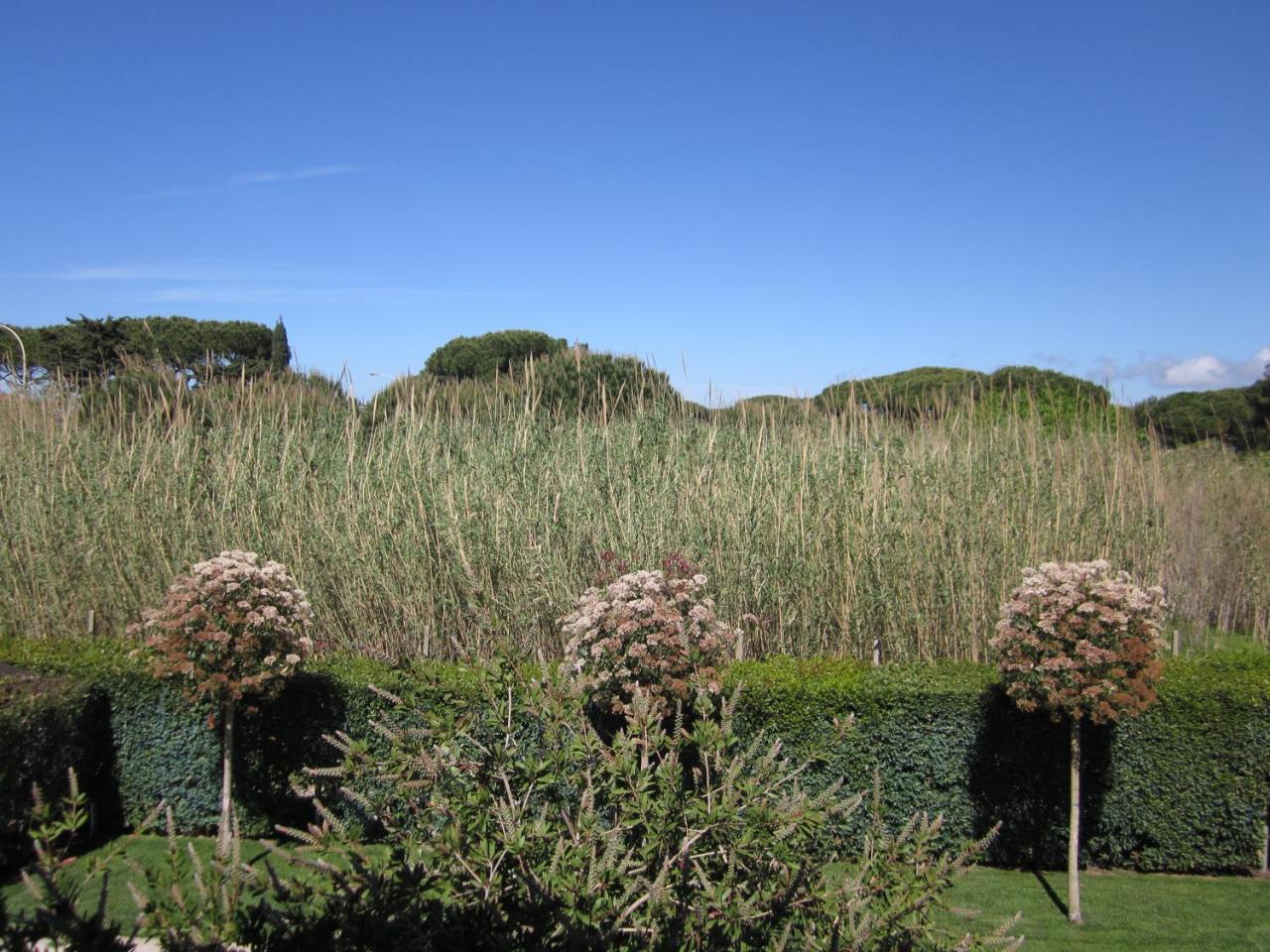 Hotel Villa Smeraldo Orbetello Exterior photo